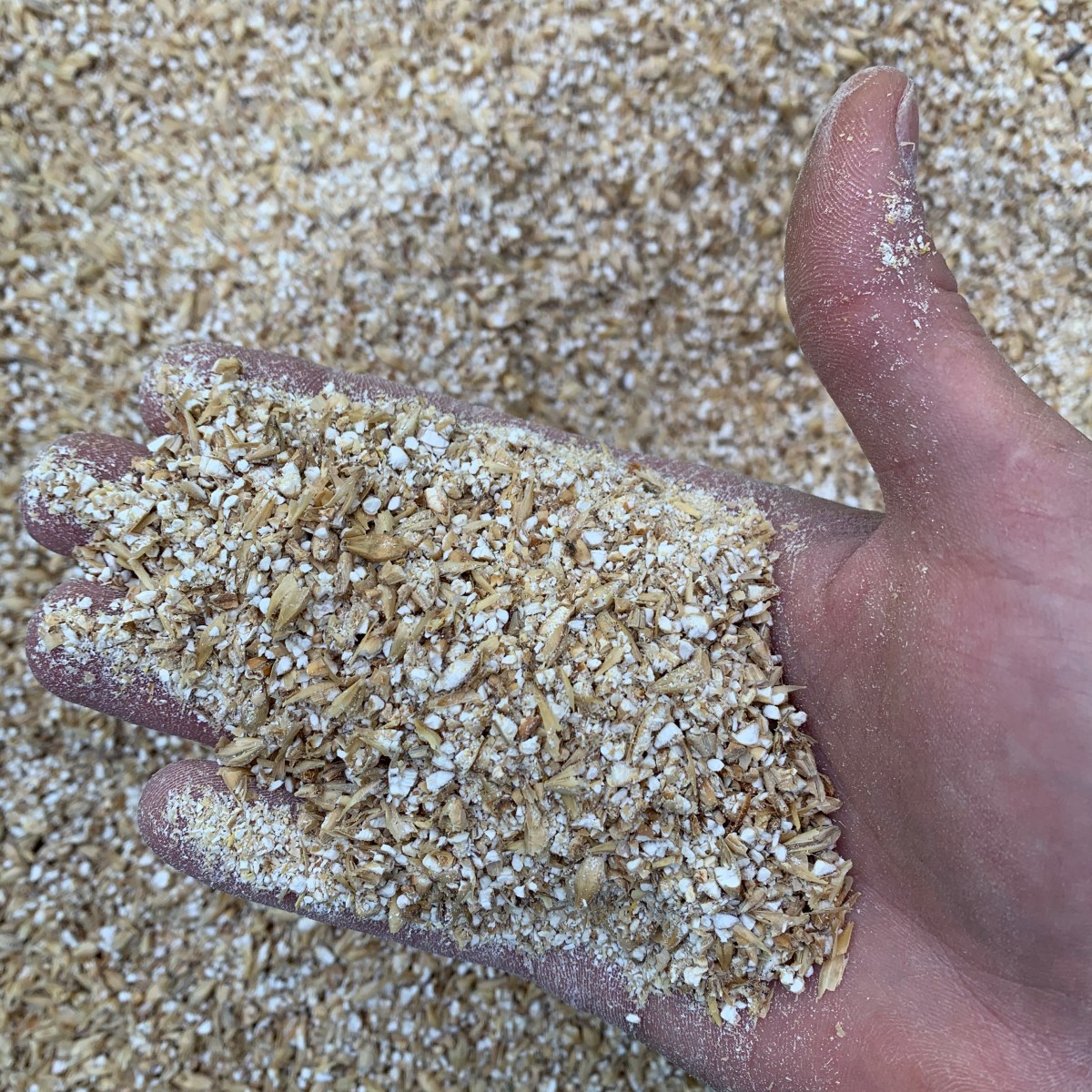 Atelier de brassage de 4h en immersion totale à Courville-sur&nbsp;Eure