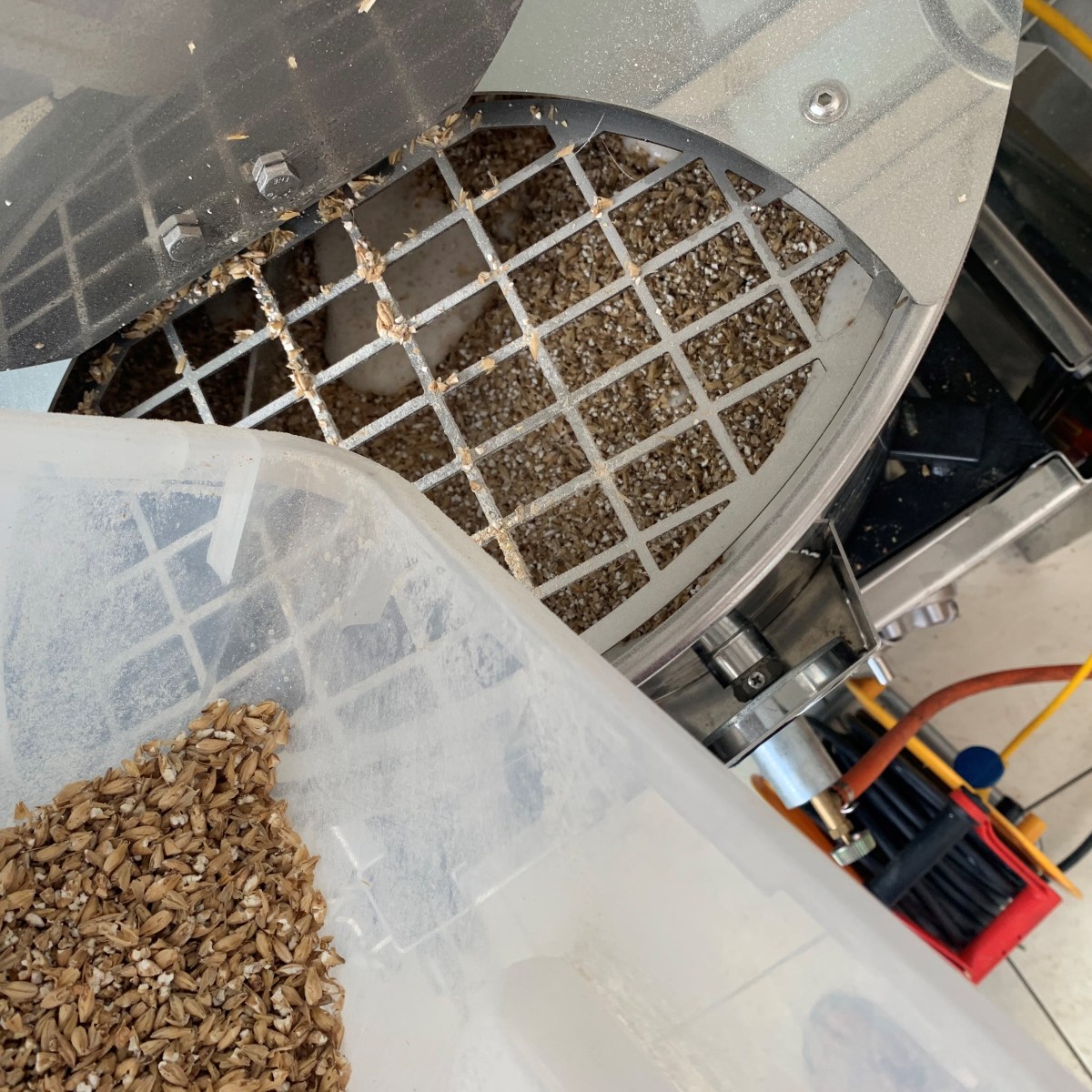 Diaporama photos : Brassage de la blonde aux fleurs de&nbsp;sureau