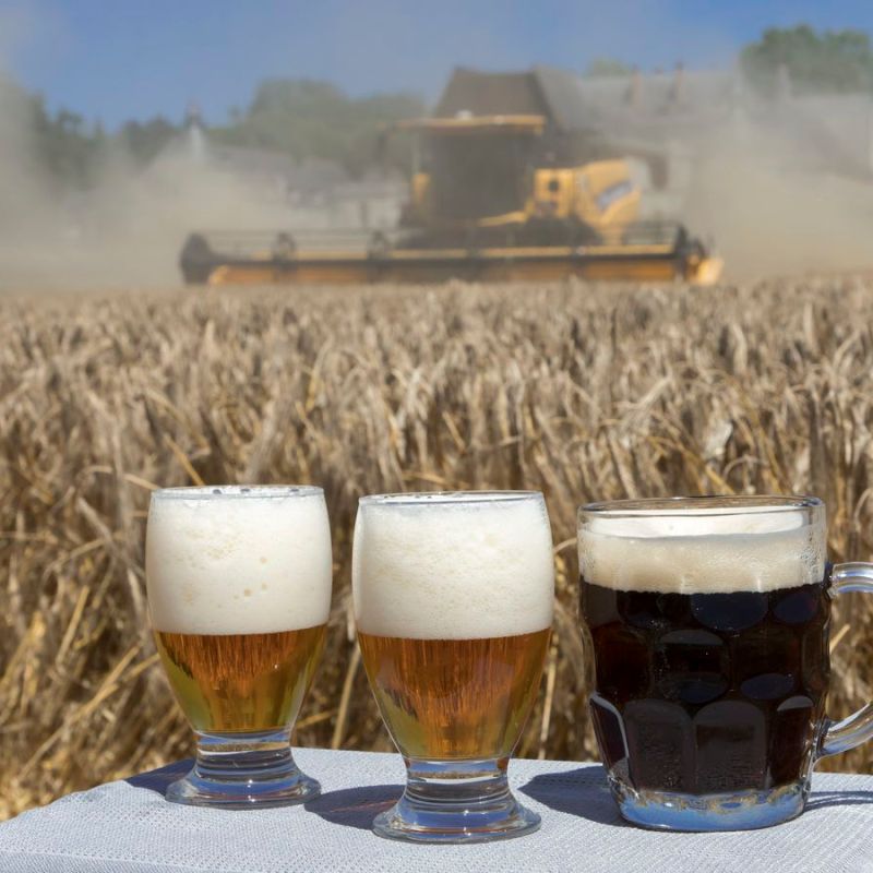 Les brasseries d&rsquo;Eure-et-Loir (28)